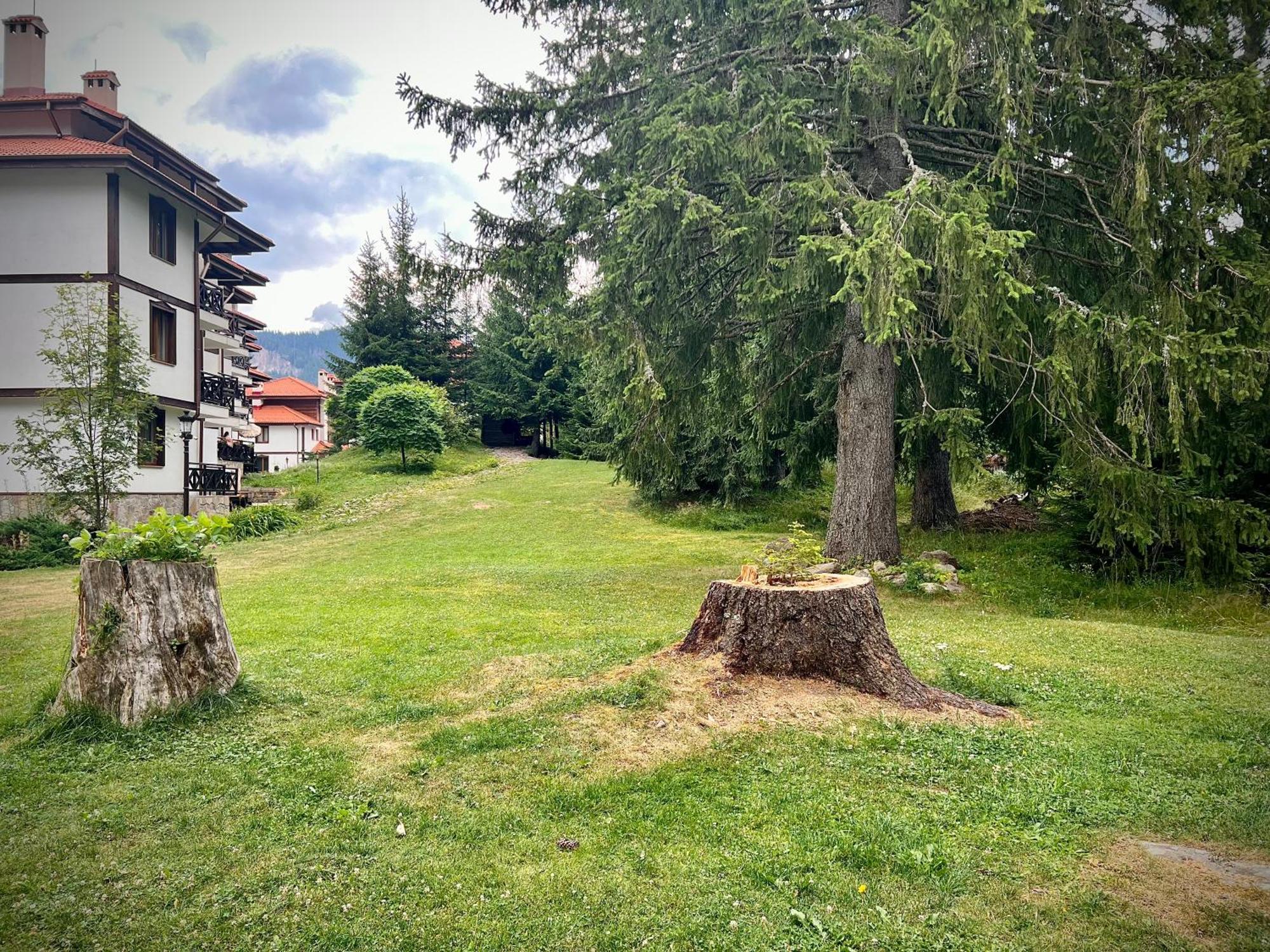 Relax Aпартаменти, Смолянски Езера, Вила Венера, К-С Маунтин Лейк Eksteriør billede